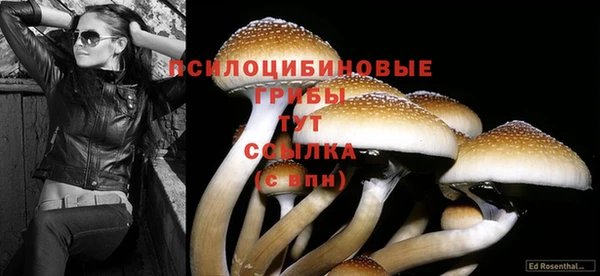 стафф Алексеевка