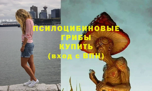 тгк Алексин