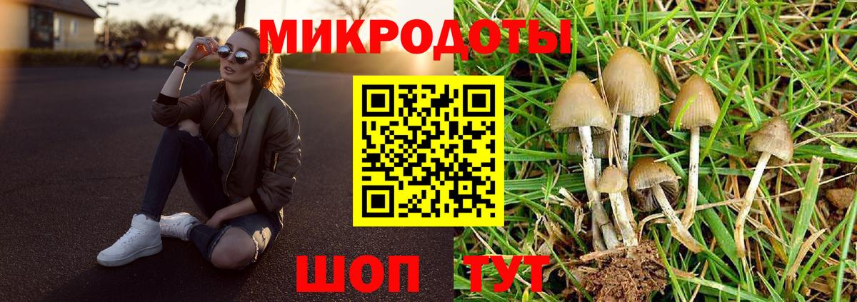 Псилоцибиновые грибы мухоморы Ступино
